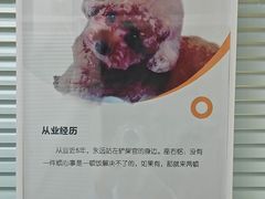 -全心全意连锁动物医院·微创中心·内科急重症·心脏专科(丰管路店)