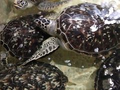 -常州海昌海洋探索馆