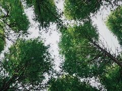 -山王坪喀斯特国家生态公园