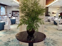 -罗浮山嘉宝田森林温泉度假酒店