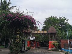 -万绿园