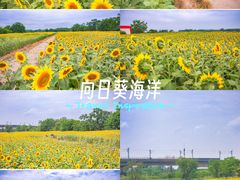 -关你鬼室大型密室逃脱(佛山创意园店)