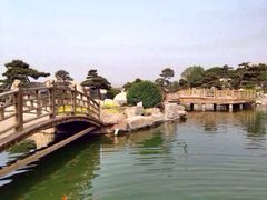 iphone_upload_pic-中国唐苑