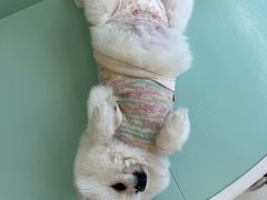 -怪兽屋·羊驼·猫咖·狗咖(俊华广场店)