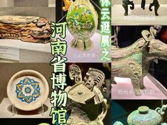 -河南博物院
