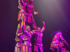 -珠海横琴长隆《卡卡虎奇遇记》