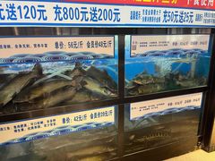 黑鱼-舒来喜鱼锅(伊河路店)