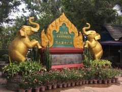 -西双版纳傣族园