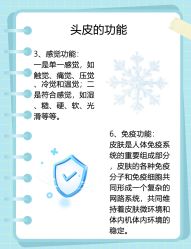 -Bollins波林丝•专研护发中心