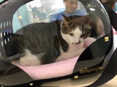 -莘程宠物医院(金山店)