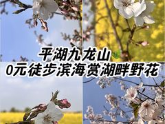 -平湖九龙山旅游度假区