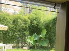 -虹之森·小馆
