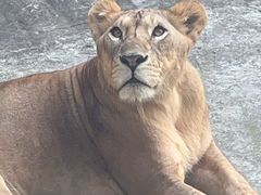 -南京金牛湖风景区