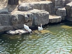 -迎泽公园
