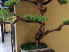 -如轩·海鲜砂锅粥·潮汕菜(南城店)