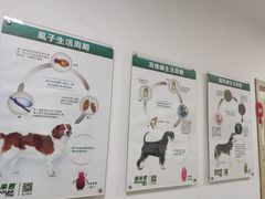 -阿荣24H宠物医院·综合型转诊中心·CT·核磁影像中心