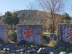 -香雪海