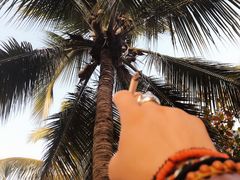 -金鸡岭桥头公园