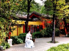 -白家大院·王府宫廷菜(苏州街店)