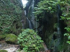 -青城山