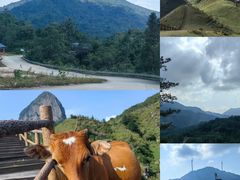 -天龙顶山地公园