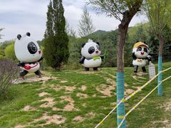 -青藏高原野生动物园