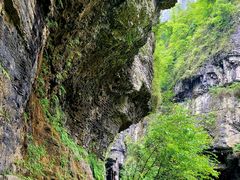 -鹿院坪生态旅游景区