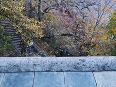 -香山公园