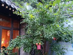 -四喜小胖·北京涮肉(五道营店)