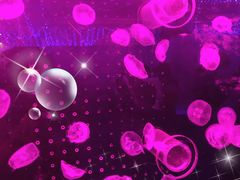 -海珠新都荟城光荟(海珠店)