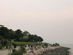 -深圳湾公园(南山区)