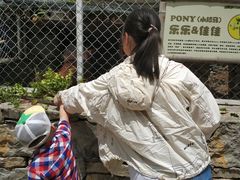 -塔云山