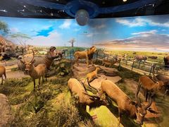 -陕西自然博物馆