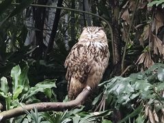 -广州长隆野生动物世界