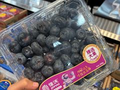 -洛阳郁金香牡丹园