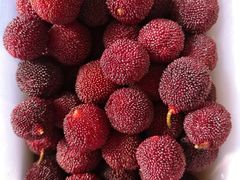 杨梅-彩香二村农贸市场