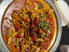 -美蛙四季(黄寺大街店)