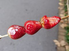 -黔灵山公园