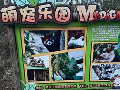 -石家庄市动物园