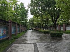 -合肥野生动物园