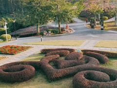 -东莞植物园