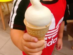 -DQ·蛋糕·冰淇淋(绿宝店)