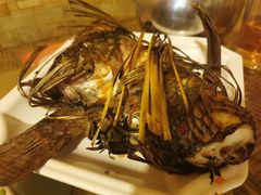 -多哥水傣味餐厅(司马巷店)