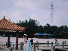 -东郊椰林