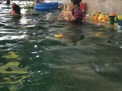 -BlueBubble蓝泡泡婴幼儿游泳会所(合川路店)