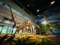 -自贡恐龙博物馆