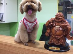 -酷狗靓猫宠物·洗护·美容·寄养(航北路店)