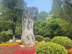 -习家池