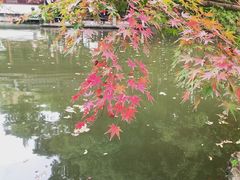 -汇龙潭