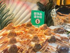 -亚马逊蒸汽活海鲜自助(LCM置汇旭辉广场店)